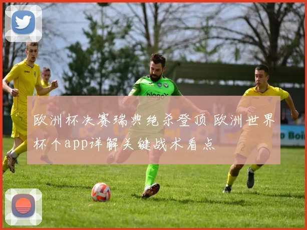 欧洲杯决赛瑞典绝杀登顶 欧洲世界杯个app详解关键战术看点