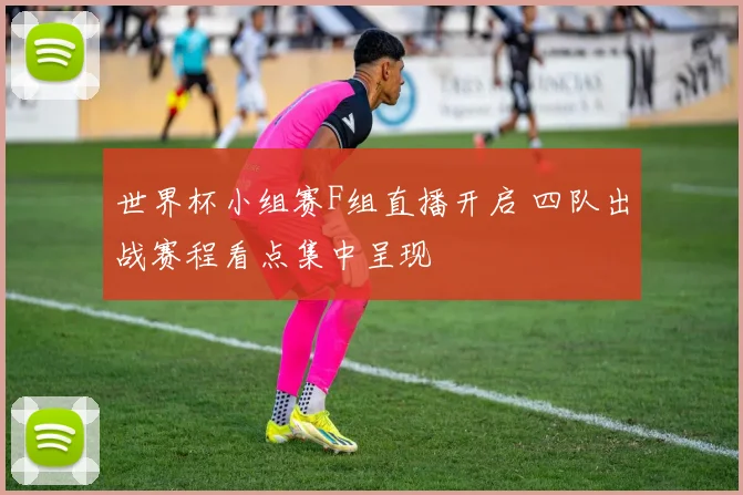 世界杯小组赛F组直播开启 四队出战赛程看点集中呈现