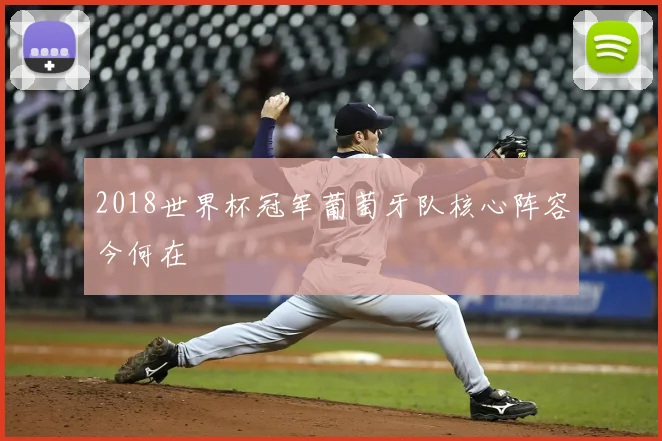 2018世界杯冠军葡萄牙队核心阵容今何在